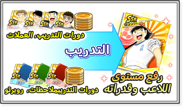 DAY2.قم بتعليم الفريق! حسن مستواك!