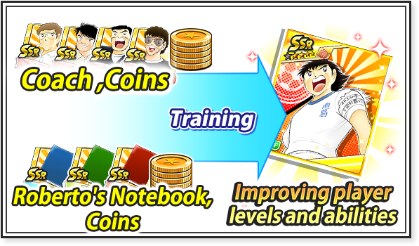 DAY2.Try developing your team! Level up!