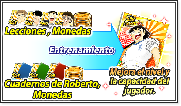 Día 2.¡Desarrolla a tu equipo! ¡Sube de nivel!