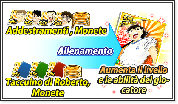 Giorno 2.Fai crescere la tua squadra e sali di livello!