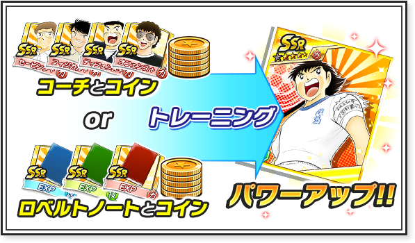 DAY2.チームの育成をしてみよう！レベルアップ！