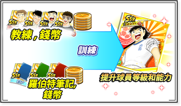 DAY2.試著培育隊伍！提升等級吧！