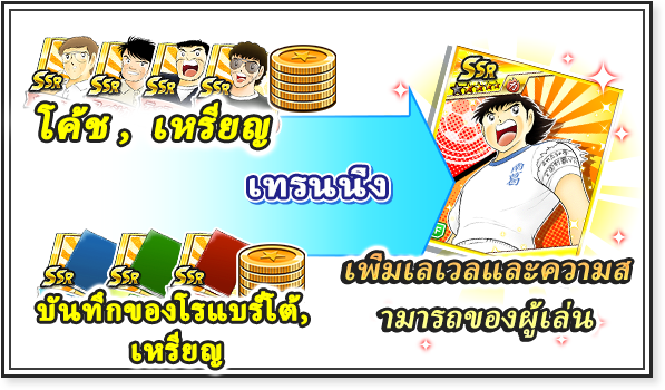 วันที่ 2.ลองพัฒนาทีมกันเลย! เลเวลอัพ!