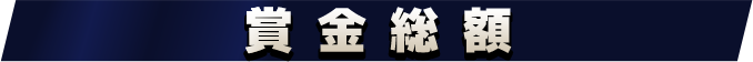 賞金総額